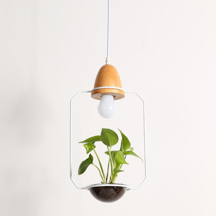 Wooden plant chandelier with light body featuring a glass enclosure lampshade material glass and black pot planter