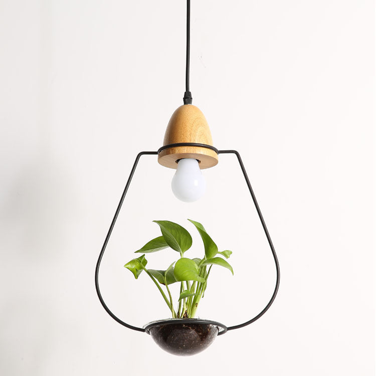 Plant chandelier pendant light with black metal frame wooden accents and glass lampshade material glass light body