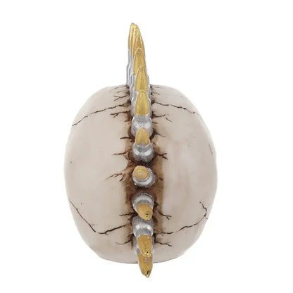 Beige resin skull head statue with white skull and gold silver spike bullet mohawk for living room decor