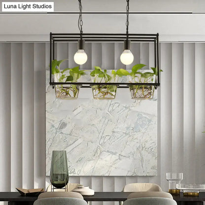 Black metal rectangle island ceiling light with two exposed bulbs and three glass planters holding green plants