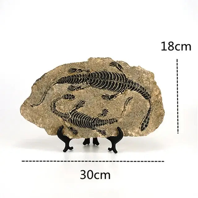 Retro gray and beige natural stone animal statue with two black fossilized ichthyosaurs for living room decor