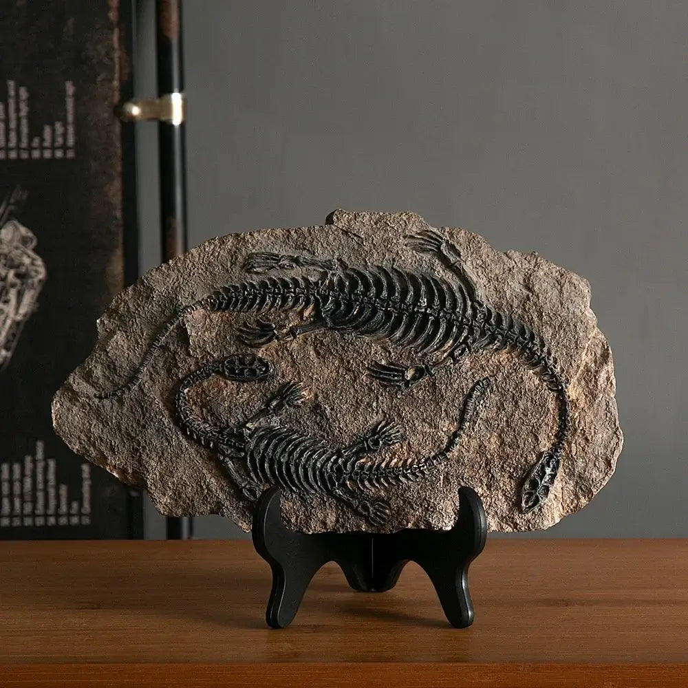 A retro animal statue featuring two black fossilized reptile skeletons on a natural stone slab in gray and beige