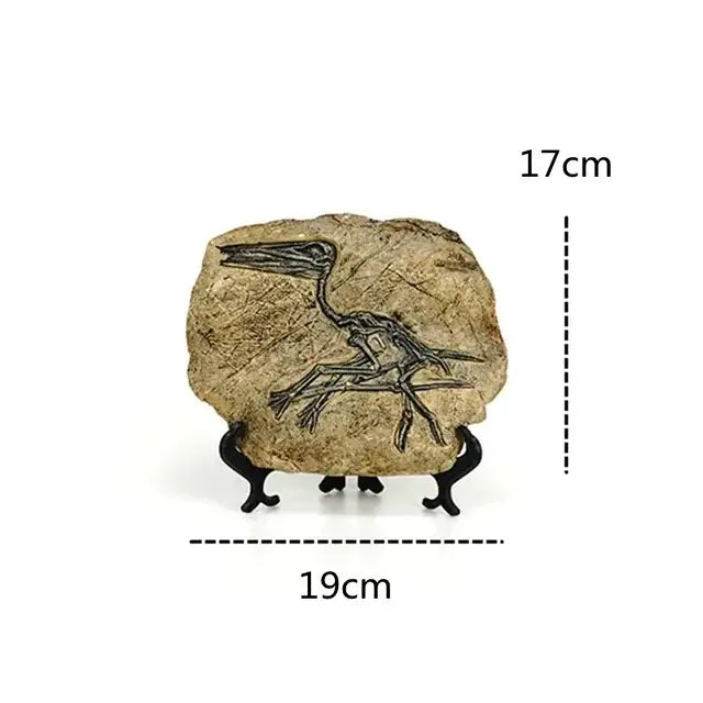 Beige fossilized rock with black pterosaur imprint retro animal statue on black stand for living room decor