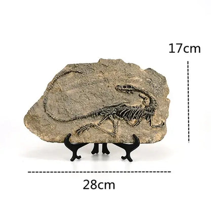 Retro gray and beige dino fossil animal statue with detailed dark brown fossilized skeleton in textured rock slab for decor