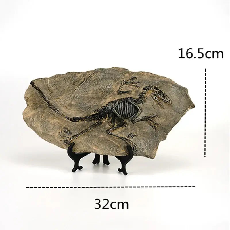 Retro gray and brown dinosaur fossil figurine with detailed dark gray fossil embedded in textured rock for living room decor