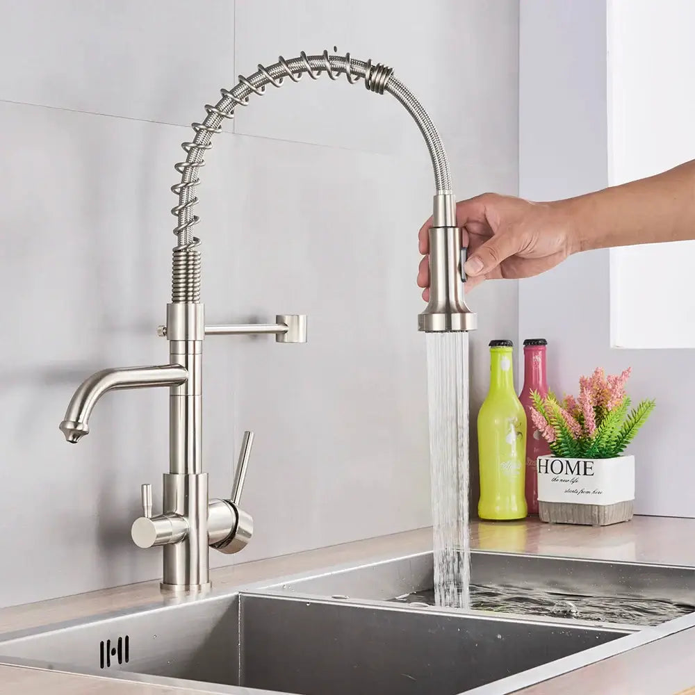Stainless steel decorbites dual mode kitchen faucet with flexible coiled spout and pull-down dual mode water filter head