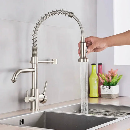 Stainless steel decorbites dual mode kitchen faucet with flexible coiled spout and pull-down dual mode water filter head