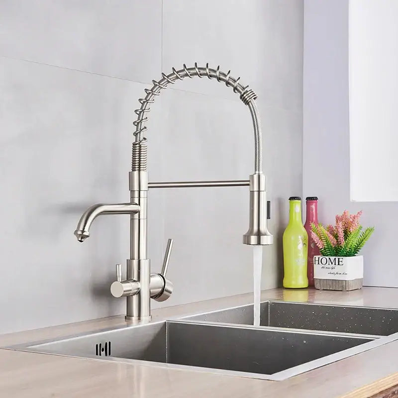 Stainless steel decorbites dual mode kitchen faucet with flexible coiled spout and pull-down spray head water filter