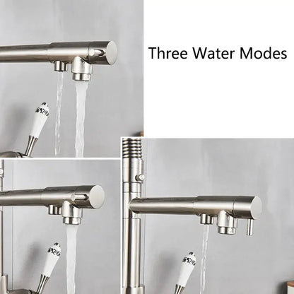 Modern brushed stainless steel kitchen faucet with dual spout pull down and ceramic handle with black floral decorbites dual spout