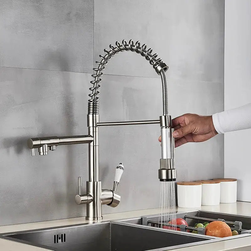 Stainless steel kitchen faucet with flexible coiled spout and pull-down spray head decorbites dual spout pull design