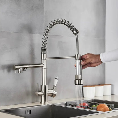 Stainless steel kitchen faucet with flexible coiled spout and pull-down spray head decorbites dual spout pull design
