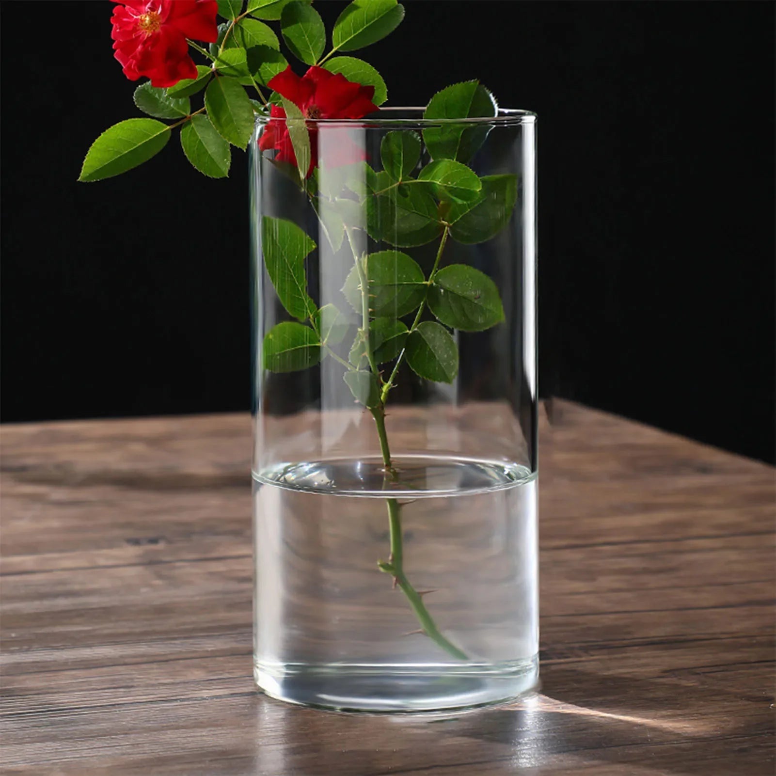 Transparent glass hydroponic cylindrical vase holding a single red rose with green leaves and thorns for home or office
