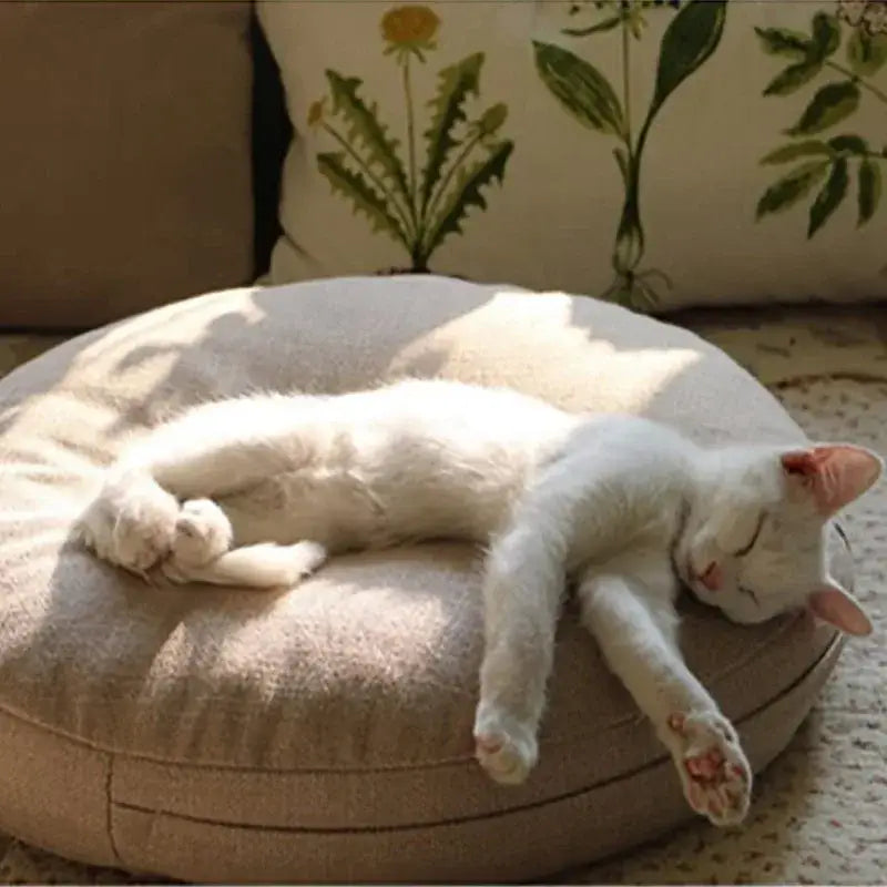 A fluffy white cat sleeps curled up on a round beige fabric floor pillow seating cushion in living room pouf style