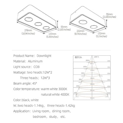 Ultra-thin black 24w aluminum led ceiling spot light with two circular heads for living room lighting