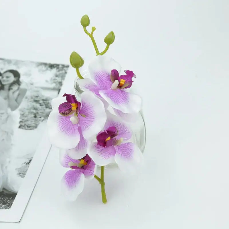 Vibrant silk butterfly orchid bouquet with white petals purple veining and magenta centers in clear glass vase