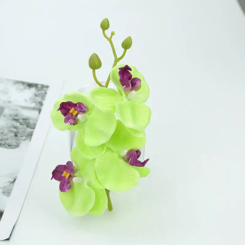 Vibrant silk butterfly orchid bouquet featuring lime green butterfly orchids with purple centers and yellow stamens