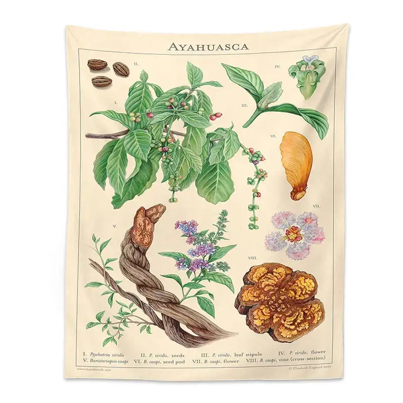 Beige botanical tapestry wall hanging featuring detailed ayahuasca illustration with green leaves purple flowers and seeds decorbites botanical tapestry