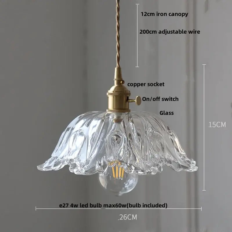 Vintage brass and clear glass led pendant light with a clear glass led bulb, brass copper socket, and twisted iron canopy