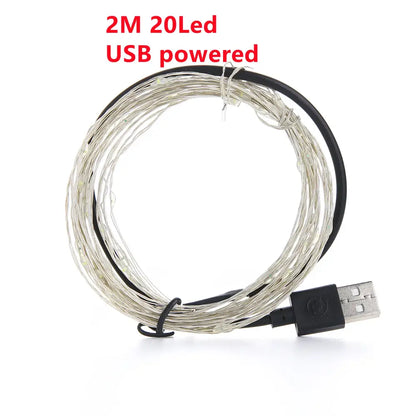 A coiled 2 meter usb powered warm gold copper wire fairy lights with black cable for outdoor decorbites copper wire decor