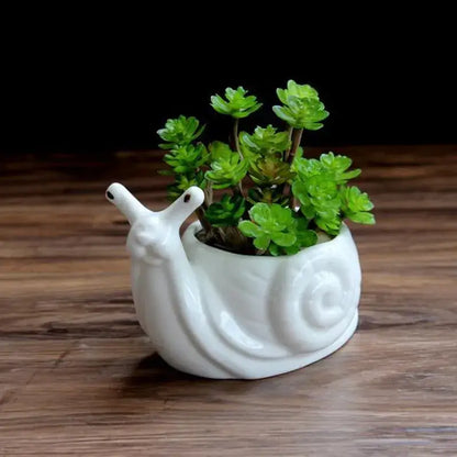 White ceramic cartoon snail flower vase by decorbites holding green succulents for garden decor use