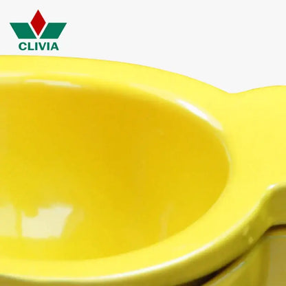 Bright yellow ceramic egg separator with glossy finish and handle shown alongside aluminum hand press citrus juicer for lemons